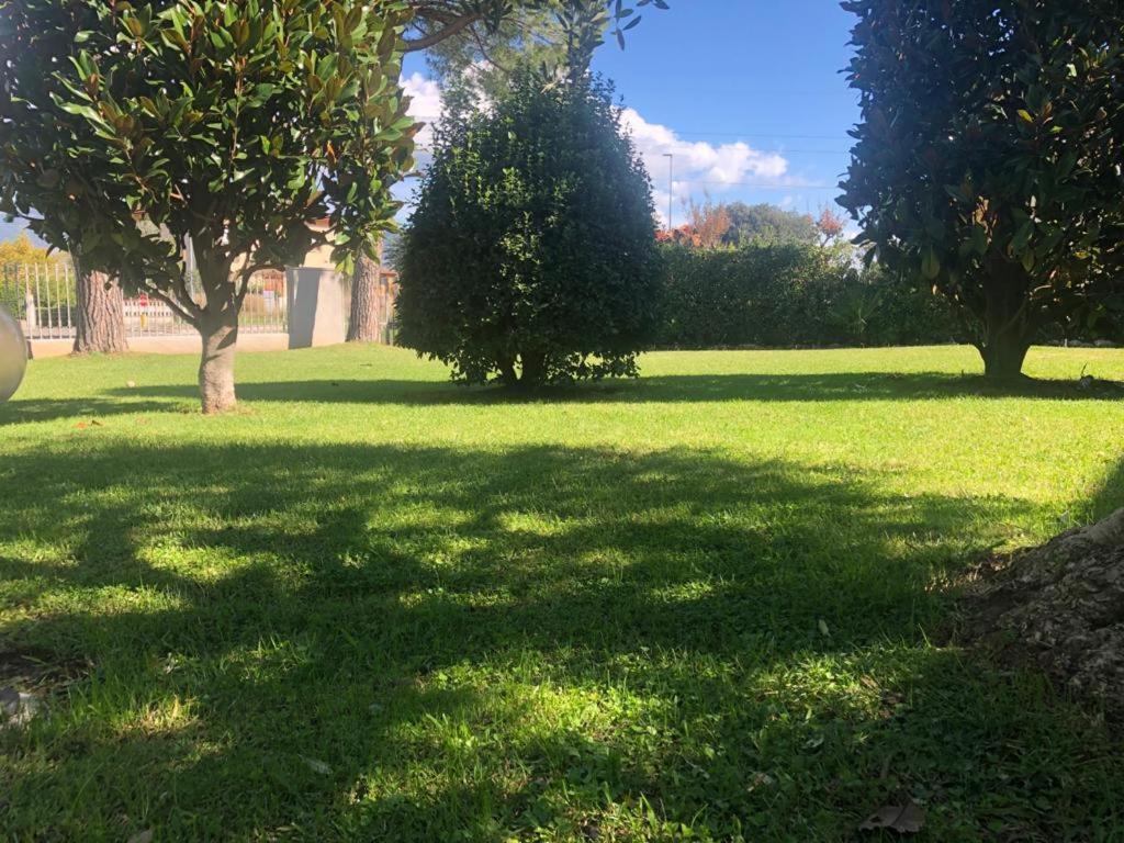 Villa Orsini - A Retreat In Pisa - Food And Relax Eksteriør bilde